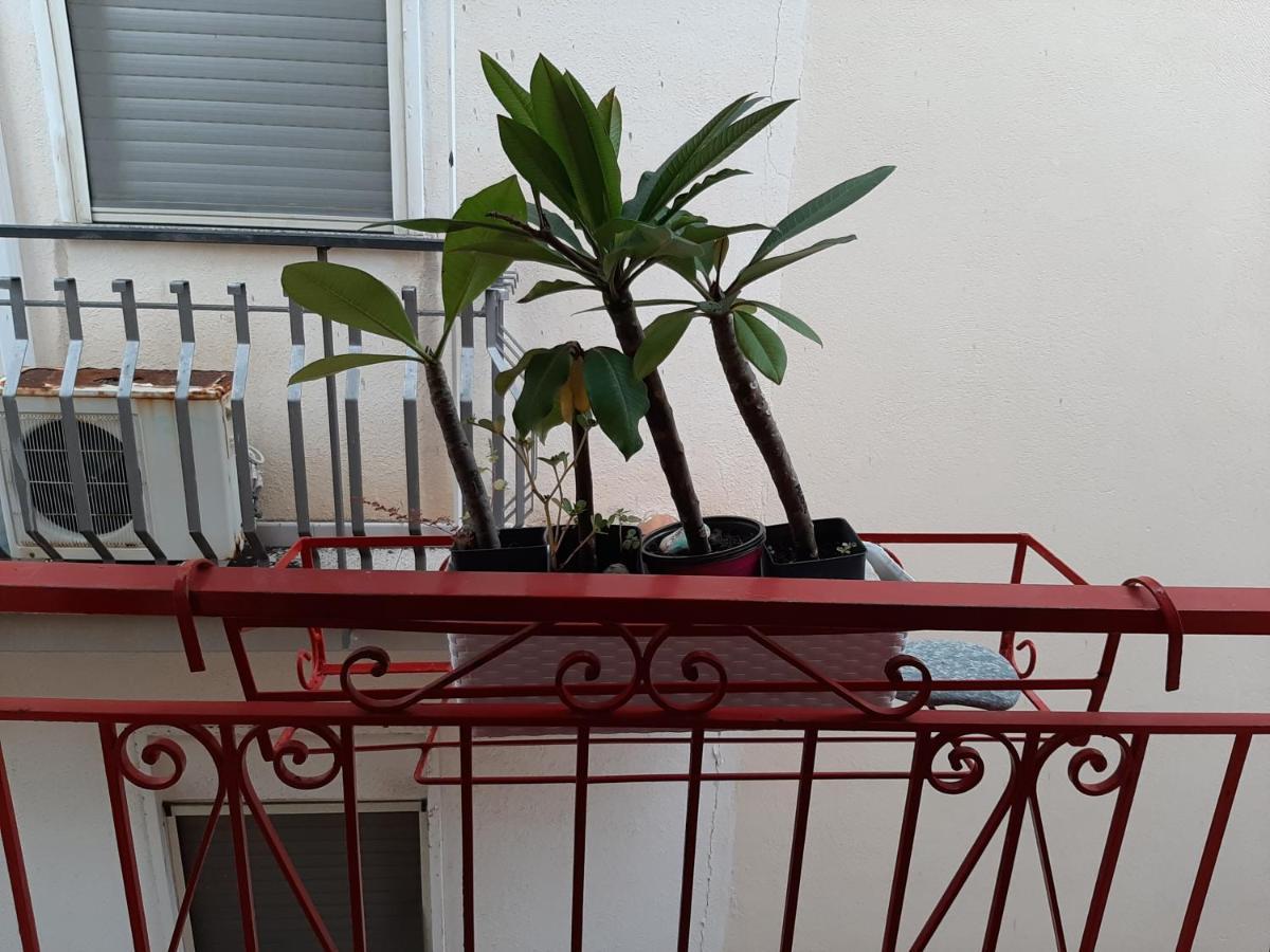 Hotel Ciuri Ciuri - Sea Of Taormina Letojanni Zewnętrze zdjęcie
